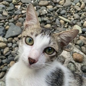 Meet your Posher, Jamie marie